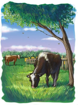 Корова на Поляне