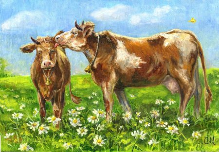 Коровы на лугу