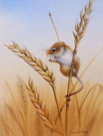 Художник David Finney