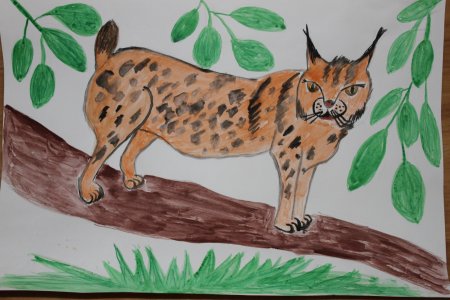 Рысь рисунок детский