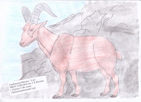 Рисунок краснокнижного животного