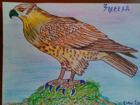 Животные краснойткниги России