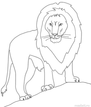 Рисование по точкам животные