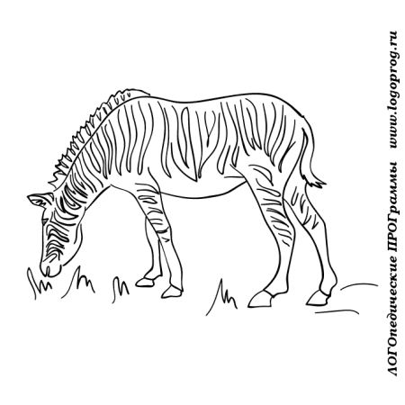 Раскрась животных жарких стран