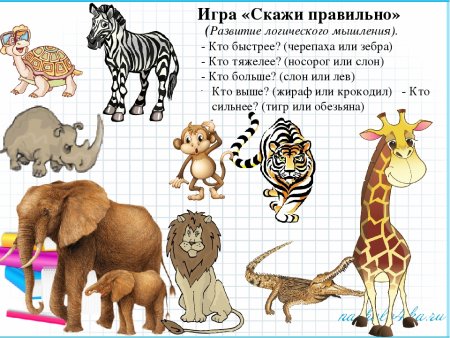 Животные жарких стран