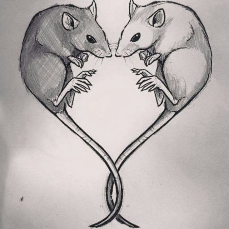 Тату крыса эскиз