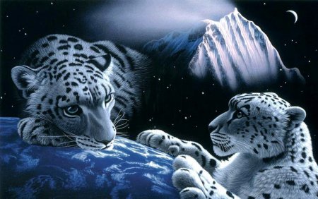 Снежный Барс и тигр