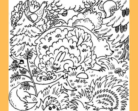 Найди спрятанных животных