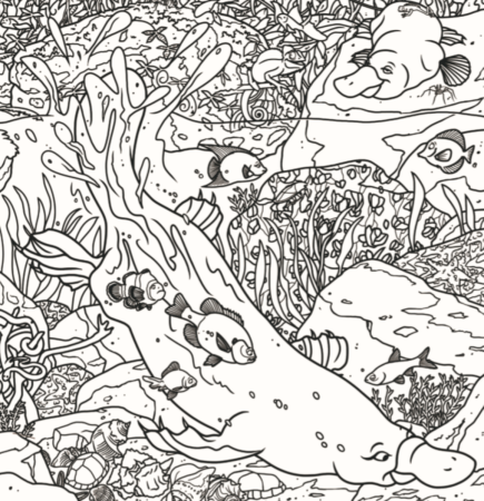 Спрятанные животные