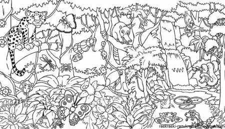 Раскраска джунгли для детей