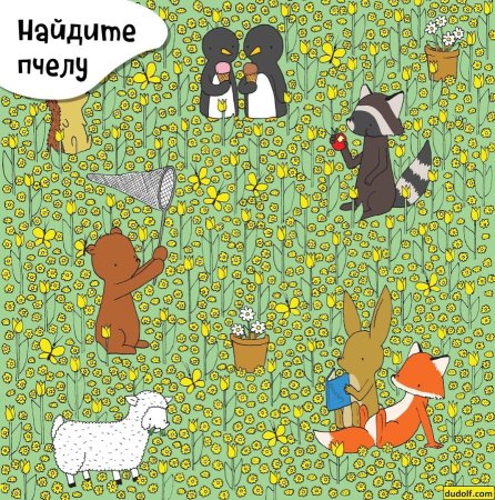 Головоломки Найди на картинке