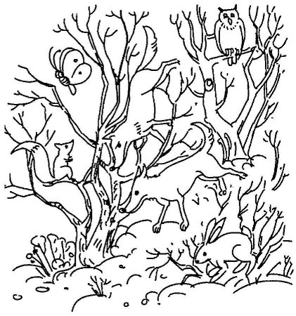 Задание заколдованный лес Куражева