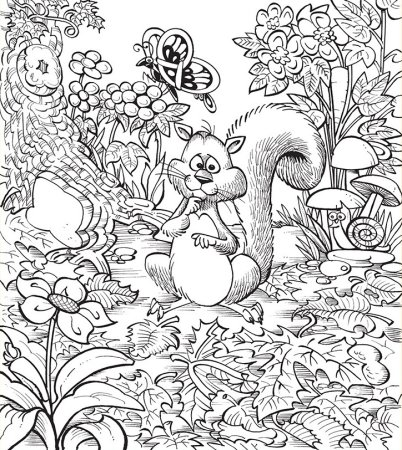 Найди на картинке спрятанных животных