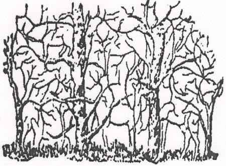 Наложенные контуры