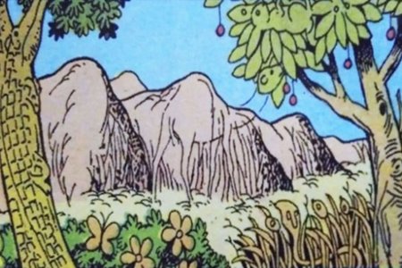 Найти животных на картинке на внимание