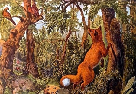 Оптические иллюзии животных