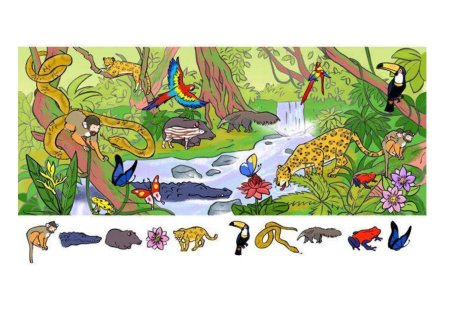 Найди вещи на картинке