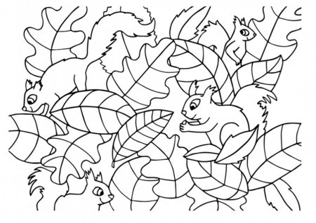 Осенние раскраски с заданиями