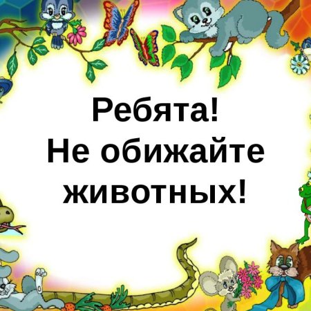 Нельзя обижать животных