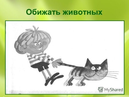 Обижать животных