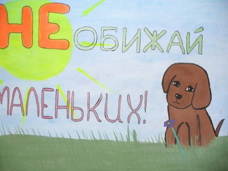Не обижать животных