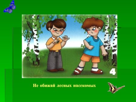 Нельзя обижать насекомых