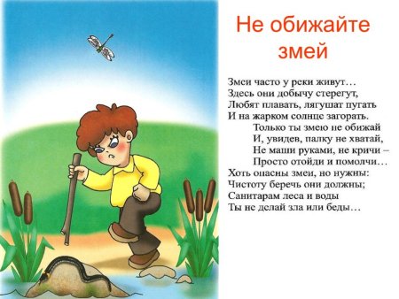 Опасности в природе для детей