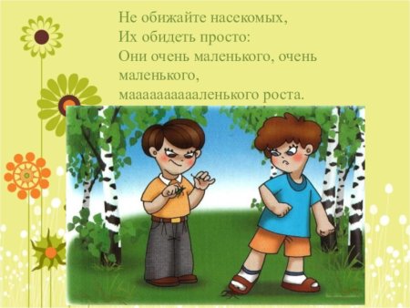 Не обижать насекомых