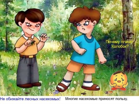 Нельзя обижать насекомых
