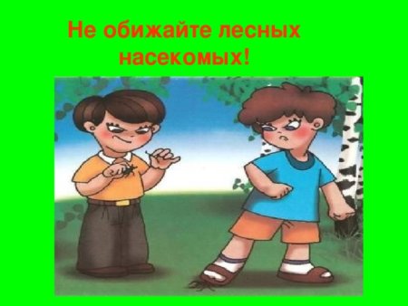 Нельзя обижать природу