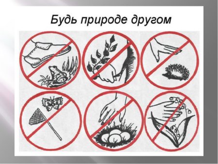 Экологические знаки по охране природы