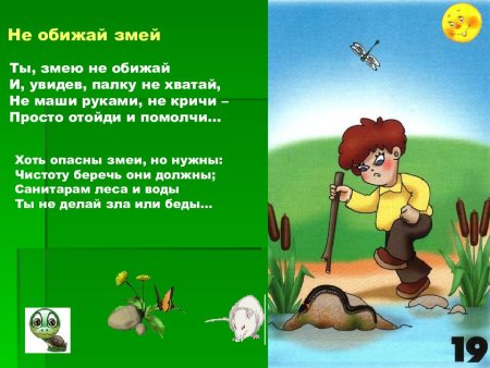 Правила поведения в лесу с животными