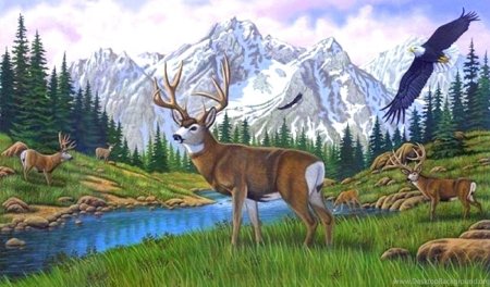 Горный пейзаж с животными