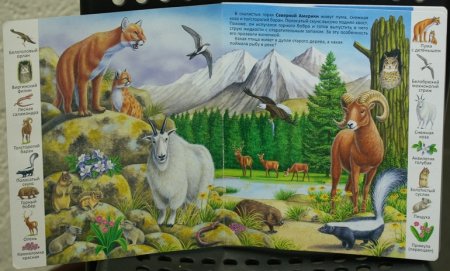 Обитатели гор для детей