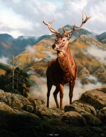 Олень на горе