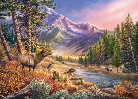 Картины дикой природы