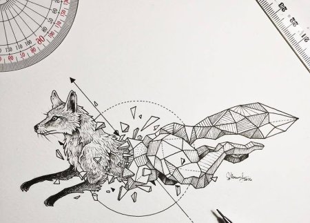 Лиса геометрия