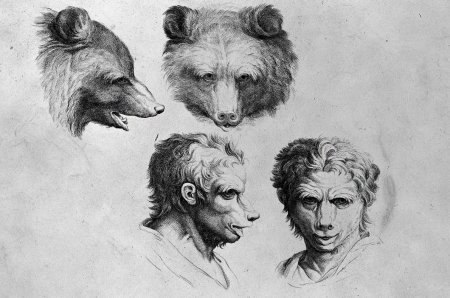 Шарль Лебрен физиогномика