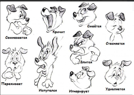 Изображение характера животных