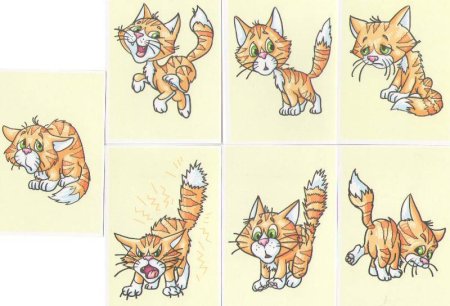 Изображение характера животных