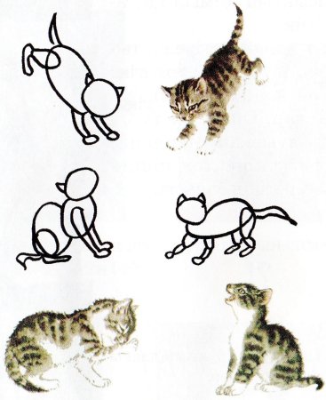 Изображение характера животных