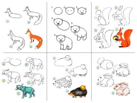 Рисунок характер животного 2 класс
