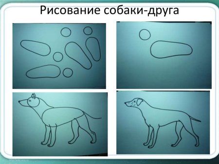 Схема рисования собаки в подготовительной группе
