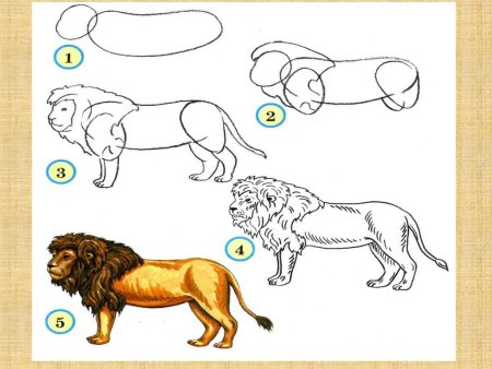 Изо животные