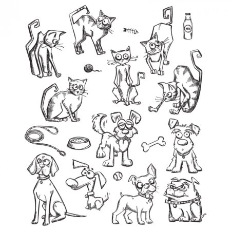 Изображение характера животных