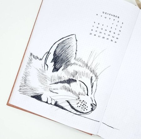 Скетчбук с котиками