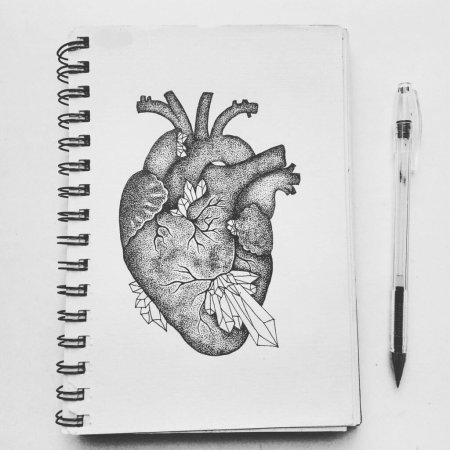 Керби Розанес (Kerby Rosanes