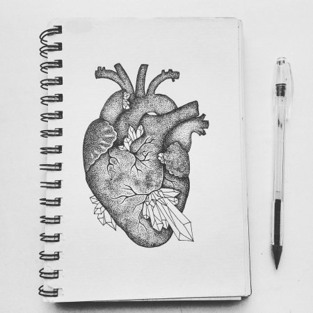 Рисунки для скатч бука