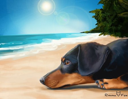 Я рисую животных