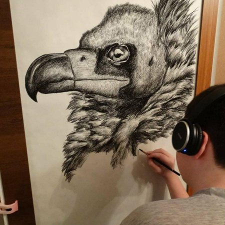 Душан кролица